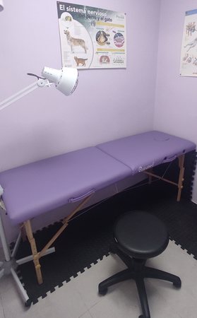 Sala de rehabilitación/fisioterapia